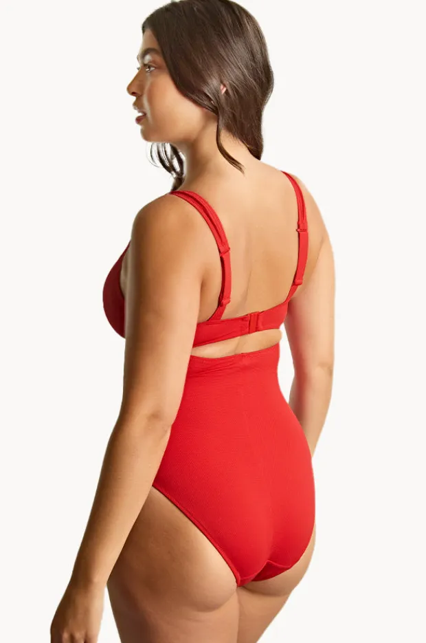 Women Panache Aurora Lara F Cup Plunge One Piece