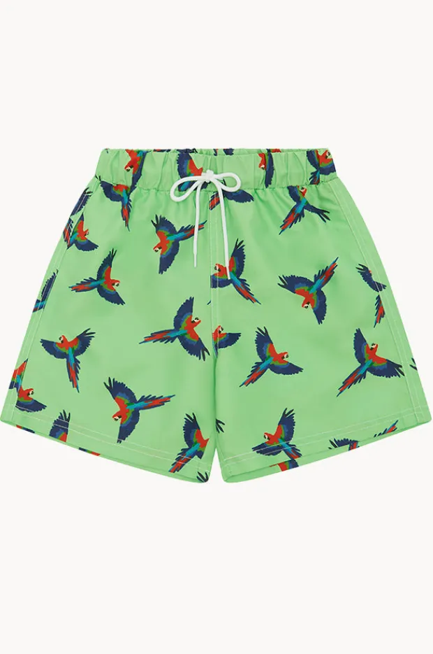 BOY Babes In The Shade Boys Macaw Boardshort