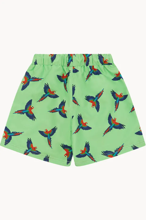 BOY Babes In The Shade Boys Macaw Boardshort
