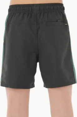 BOY Rip Curl Boys Tropic Daze Panel Volley Boardshort