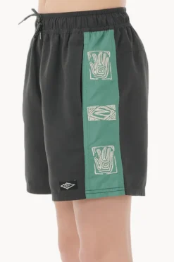 BOY Rip Curl Boys Tropic Daze Panel Volley Boardshort
