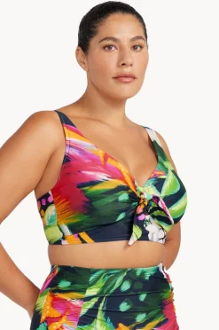 Women Artesands Chelona Cezanne D/DD Cup Midriff Bra