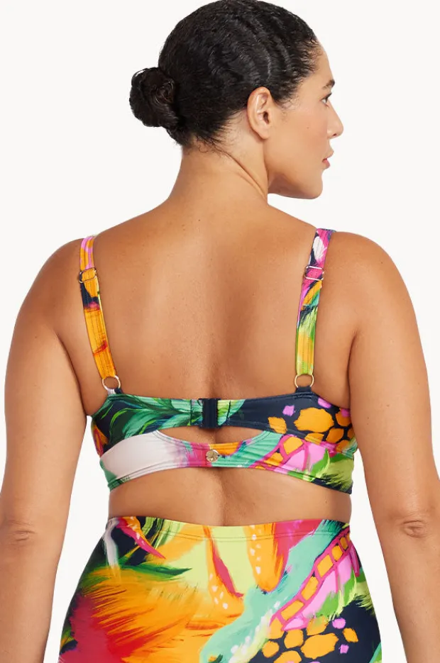 Women Artesands Chelona Cezanne D/DD Cup Midriff Bra
