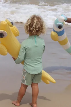 Sunny Life Finn The Fish Inflatable Noodle Set