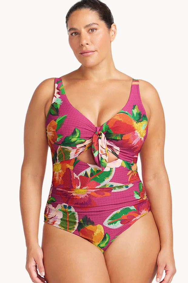 Women Artesands Le Recife Cezanne D/DD Cup One Piece