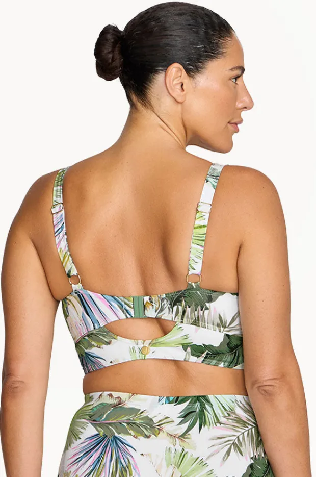 Women Artesands Lushara Cezanne D/DD Cup Bra