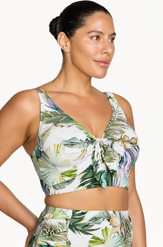 Women Artesands Lushara Cezanne D/DD Cup Bra