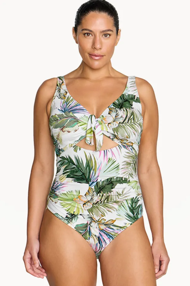 Women Artesands Lushara Cezanne D/DD Cup One Piece