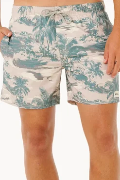 Rip Curl Mens Dreamers Volley Boardshort