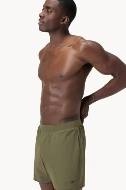 Speedo Mens The Lookout Solid 16" Volley Boardshort