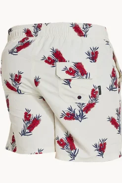 Coast Mens Wilsons Prom Boardshort