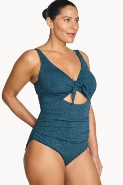 Women Artesands Minque Cezanne D/DD Cup One Piece