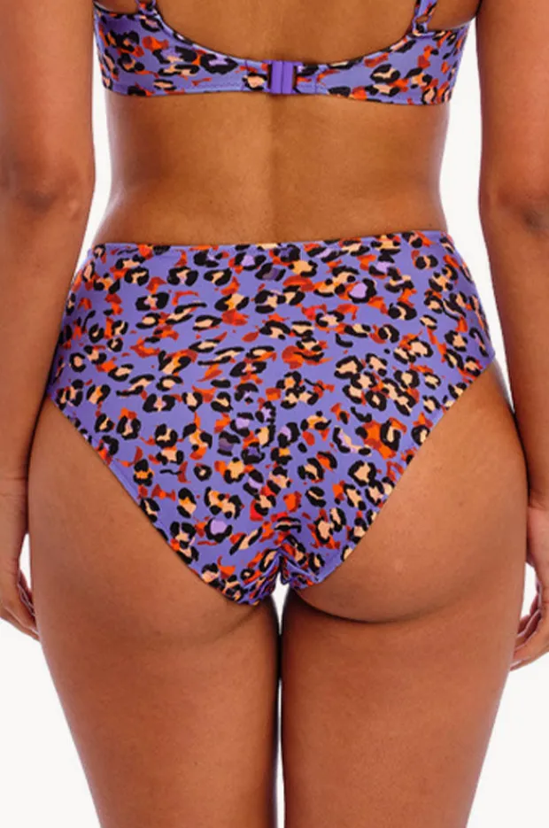 Women Freya Santiago Nights High Waist Brief