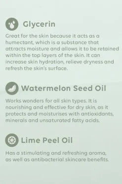 Women Al.ive Body Watermelon & Lime Sanitiser Spray