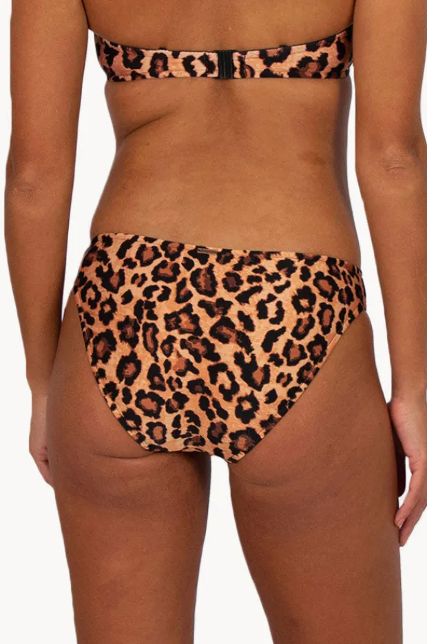 Women Baku Zambia Regular Pant
